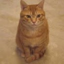 ちゃいろいねこ・・・