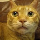 ちゃいろいねこ・・・