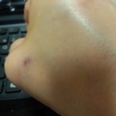 猫を洗って、噛みつかれました。