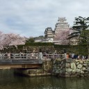 心の中は桜色♪