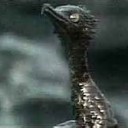 Black Water Bird ... （大蔵経・２）。（＋２）