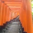 gpきょと