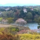 温泉行ってきた！