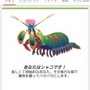 あなたはシャコです！