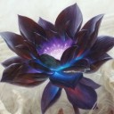 ついにBlack lotus買いました！！ あとついでにGP京都簡易レポ