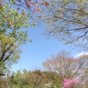 なんとかなるさっ　“うんこなんて巻いてなんぼ！”　の巻