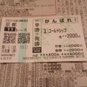 競馬 天皇賞（春）の買い目と結果