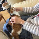 我が家の週末