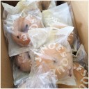 牛乳流？豆乳流？アー乳流？