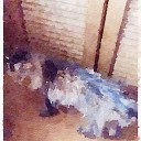 老猫ちゃん