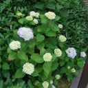 平凡に過ごした一日。