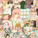 眩しかった日のこと、そんな5月15日の日のこと
