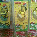 ジムバトル　in　タンヨ　＆　カーキン　５／１６，１７　＆　今日のポケセン