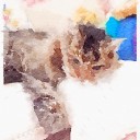 週末