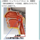 相変わらず