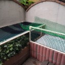 庭の新池、ついに完成！