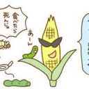 はがね・・・