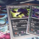 レックウザメガバトル北海道大会、優勝しました！