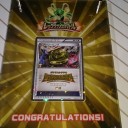 レックウザメガバトル北海道大会、優勝しました！