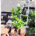平常運転