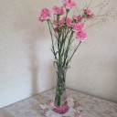2週間後のカーネーション