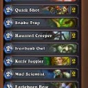 Hearthstone：今日のランクド（Face Hunter使いがHybrid Hunterを回してみました）