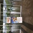 5/30 GP千葉いってきました & Sakura Angel プレマ販売