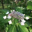 2015年5月31日の日記