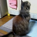今日も暑い一日だったが・・・