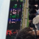 ダービー・目黒記念回顧