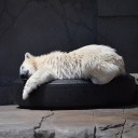 ひとり休み