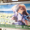 眩しかった日のこと、そんな6月4日の日のこと