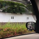 これなーんだ？