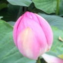 2015年6月13日の日記