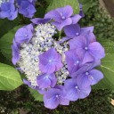 2015年6月13日の日記