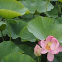 2015年6月14日の日記