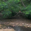 野を越え山を越え、建物探訪
