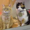 とおからず・・・・