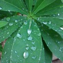 6月28日の日記