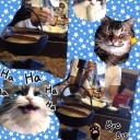 ぱんださんへ
