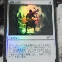 にしなFNM　スタンダード
