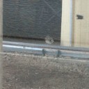 7月7日の日記