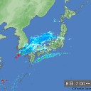 霧樹りすとニワトリは、高いところが大好き♪