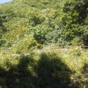 さっきまであの天辺に居た。