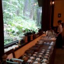 聖地富良野