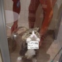 なのはで5k消えました。フォローお願いします。