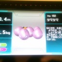 ポケモン研究所　in　日本科学未来館　＆　ジムバトル　in　ぶんぶく　７／２０