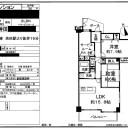 週末記×2回＋α