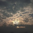 7月29日の日記