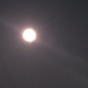 7月31日